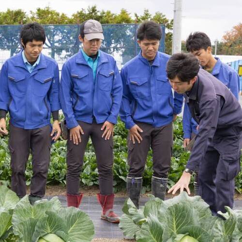タキイ研究農場付属 園芸専門学校のオープンキャンパス