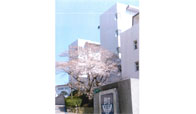 九州産業大学付属九州産業高等学校