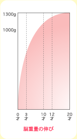脳重量の伸び（グラフ）