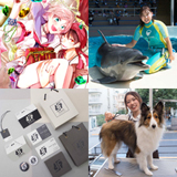 AO入学