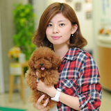 AO入学エントリー