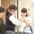 とっておきニュース