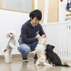 プロ・先輩写真