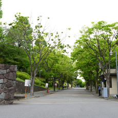 メイン写真