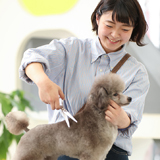 メイン写真