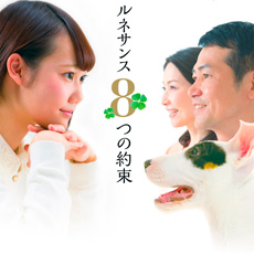 メイン写真