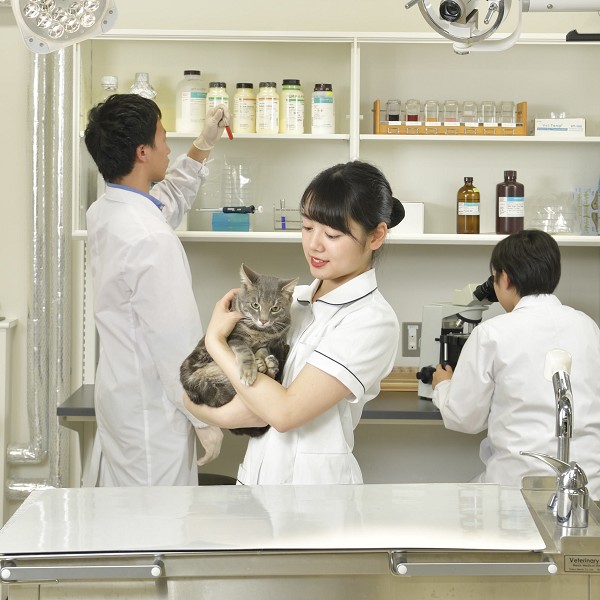 日本獣医生命科学大学のオープンキャンパス