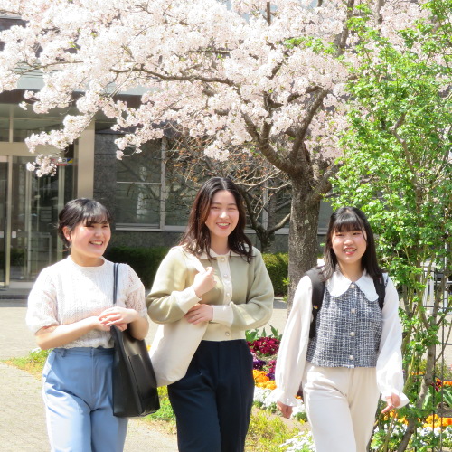 桜の聖母短期大学2