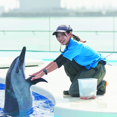 仙台ＥＣＯ動物海洋専門学校のオープンキャンパス