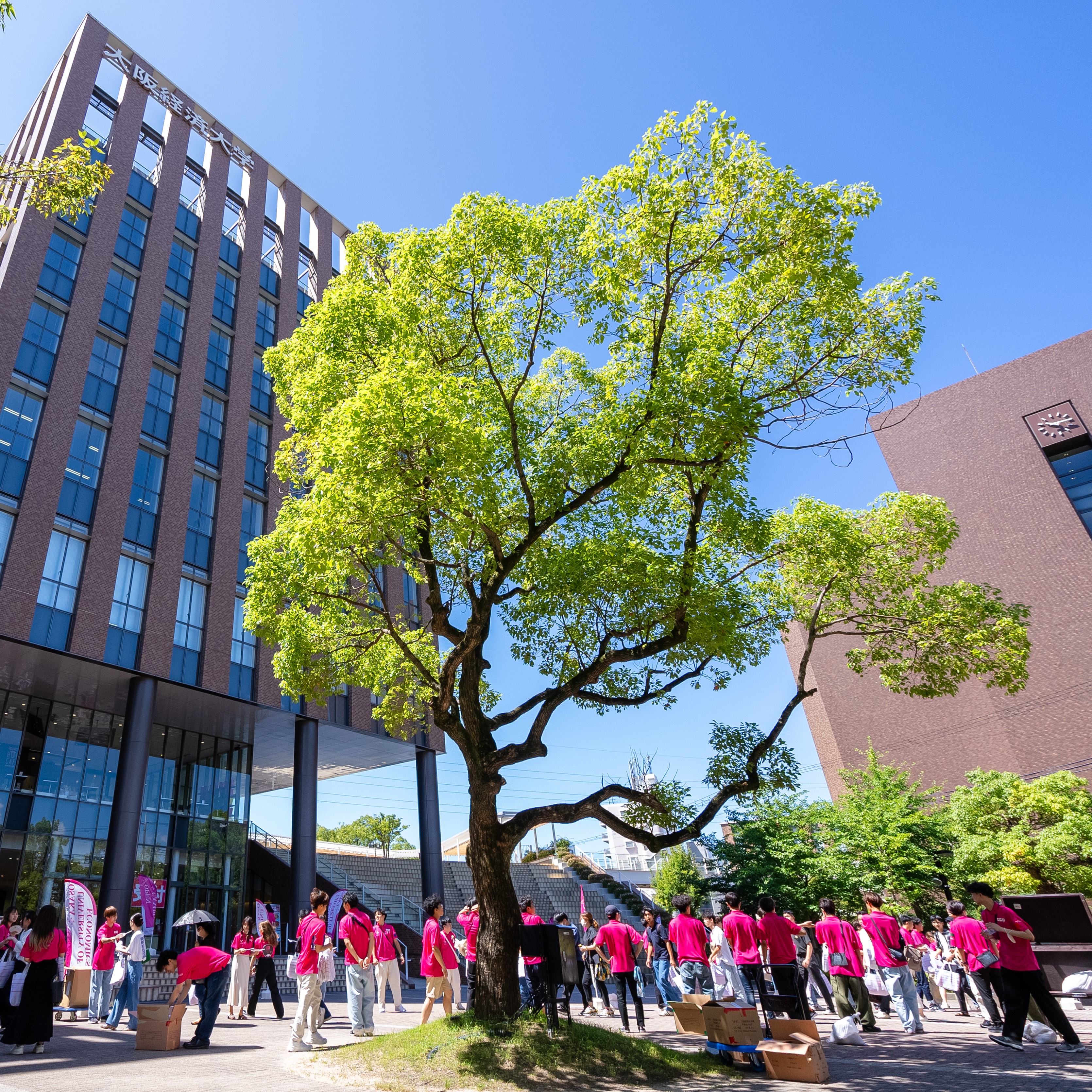 大阪経済大学のオープンキャンパス詳細