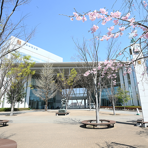 日本体育大学のオープンキャンパス詳細