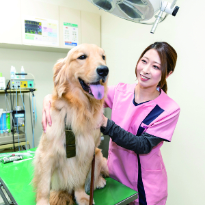 実際の機器を使用してチャレンジ！動物看護師体験！／仙台ＥＣＯ動物海洋専門学校