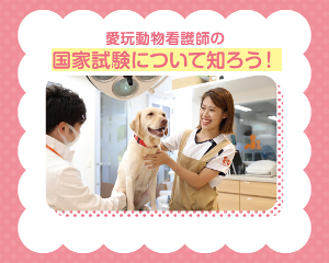 愛玩動物看護師の国家試験について知ろう！／仙台ＥＣＯ動物海洋専門学校