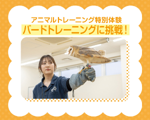 バードトレーニングに挑戦！／仙台ＥＣＯ動物海洋専門学校