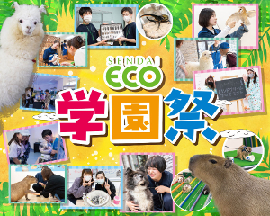 学園祭2024！！／仙台ＥＣＯ動物海洋専門学校
