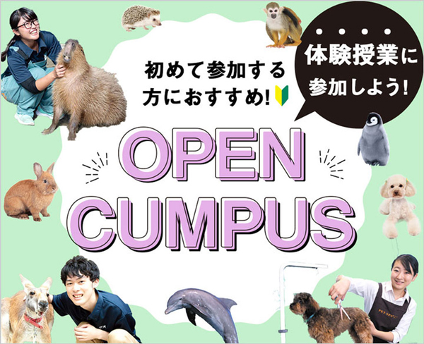 オープンキャンパスで体験授業に参加しよう！／ＴＣＡ東京ＥＣＯ動物海洋専門学校