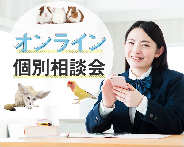 オンライン個別相談会／ＴＣＡ東京ＥＣＯ動物海洋専門学校