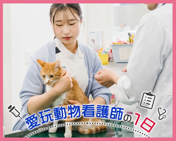 愛玩動物看護師の1日／ＴＣＡ東京ＥＣＯ動物海洋専門学校
