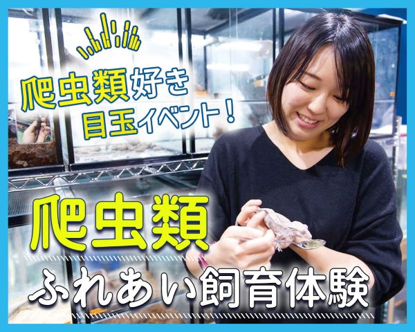爬虫類好き目玉イベント！爬虫類ふれあい飼育体験／ＴＣＡ東京ＥＣＯ動物海洋専門学校