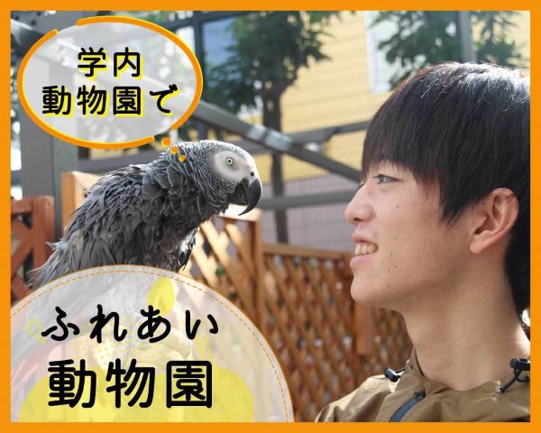 ふれあい動物園／ＴＣＡ東京ＥＣＯ動物海洋専門学校