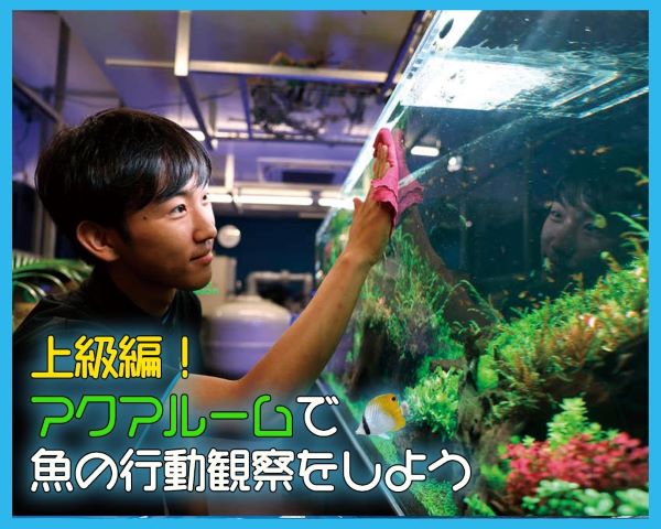 上級編！アクアルームで魚の行動観察をしよう／ＴＣＡ東京ＥＣＯ動物海洋専門学校