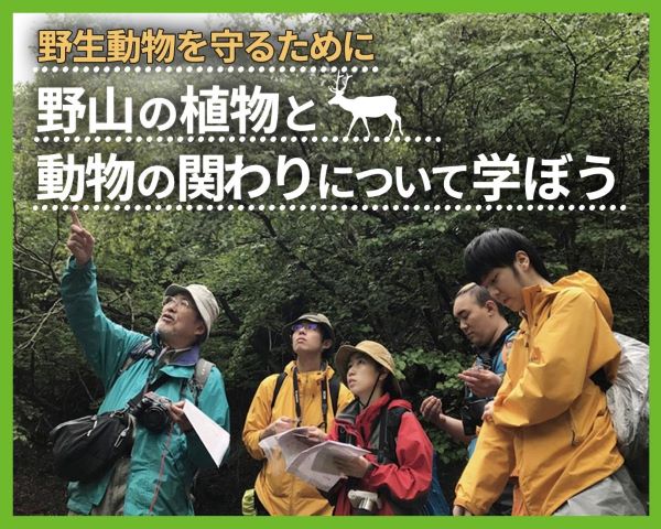 野生動物を守るために野山の植物と動物の関わりについて学ぼう／ＴＣＡ東京ＥＣＯ動物海洋専門学校
