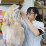 盛岡ペットワールド専門学校