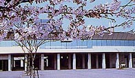 鶴岡中央高等学校