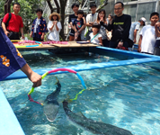 愛媛県 長浜高校 水族館部のみなさん4