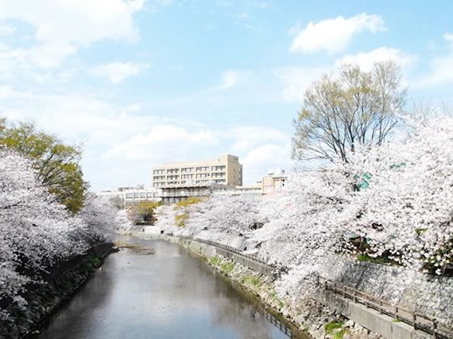 大学のすぐ南側を流れる庄下川。春は満開の桜が見事に咲き誇ります。