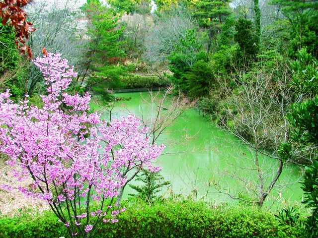 ■喜三郎池：自然のままの環境を残した池は、季節ごとに咲く花がとてもキレイ。ここに来ると穏やかな気持ちになれます。