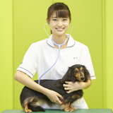 動物看護・理学療法学科