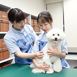 愛玩動物看護学科