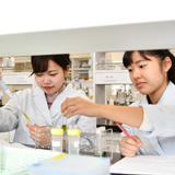 食品開発学科*