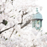 社会学部