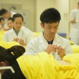 鍼灸学科