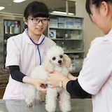 動物衛生看護科