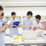 保健医療学部