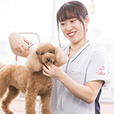 愛犬美容科