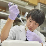 薬科学科
