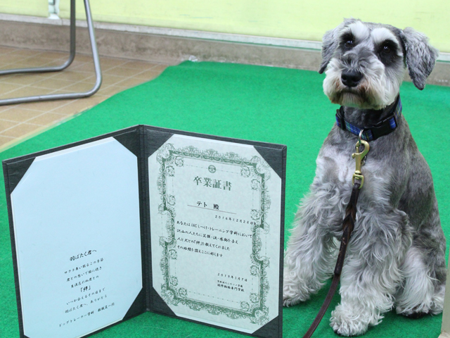 担当犬は学生と一緒に入学し卒業します！学生だけでなく犬の卒業式も開催します！