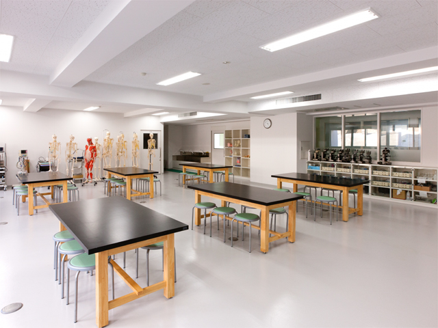 【基礎医学実習室】人体、骨格模型などのある専門教室で、解剖学や生理学の実習を実施します。