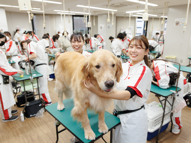 横浜動物専門学校の施設・設備