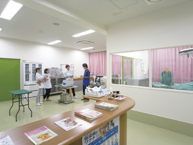 【病院実習室】動物病院を再現した実習室。カルテ管理システム・体重計付診察台・超音波診断装置・ICUケージ（集中治療室）他、診察や治療に必要な設備が整っています。